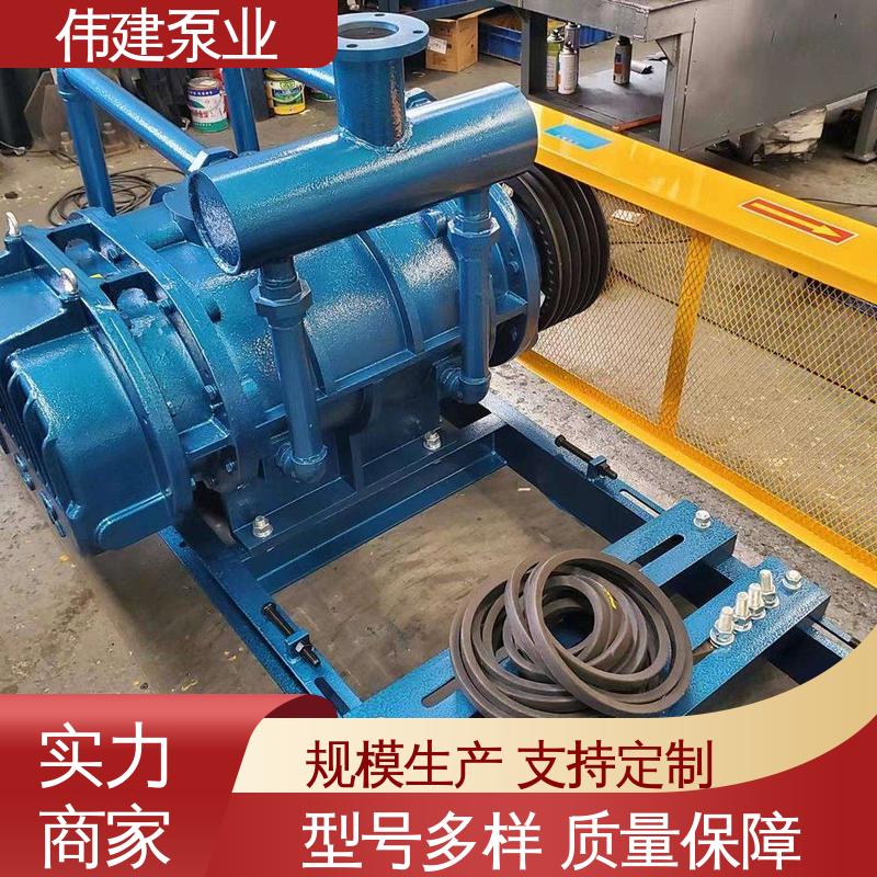 无泄漏效率高 高粘度罗茨泵 规格齐全 橡胶树脂输送用 伟建供应