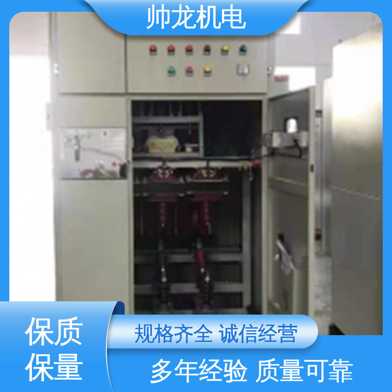 帅龙 满足不同客户需求 高低压 反应迅速 高效稳定 无功补偿装置