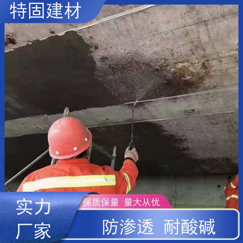 环氧树脂砂浆 适应性强 工厂供应 发货及时 特固新型建材