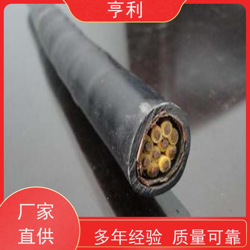 ZRC-DJVP2V 抗氧化 安全保证 2*2*1.5 高温计算机电缆