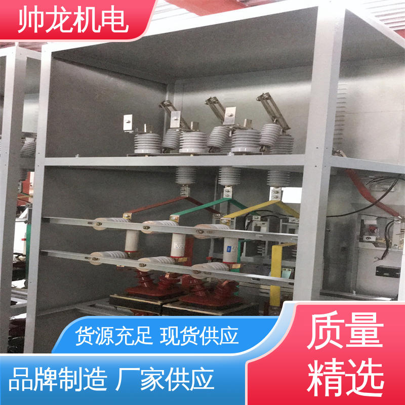 帅龙 低压/高压 资质齐全 高效稳定 固态软启动柜 支持定制 售后保证