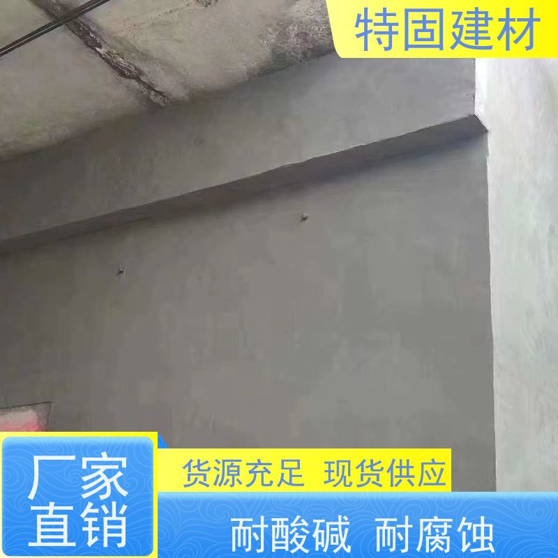 水性环氧树脂砂浆 防渗透耐酸碱 规格齐全 生产厂家 特固新型建材