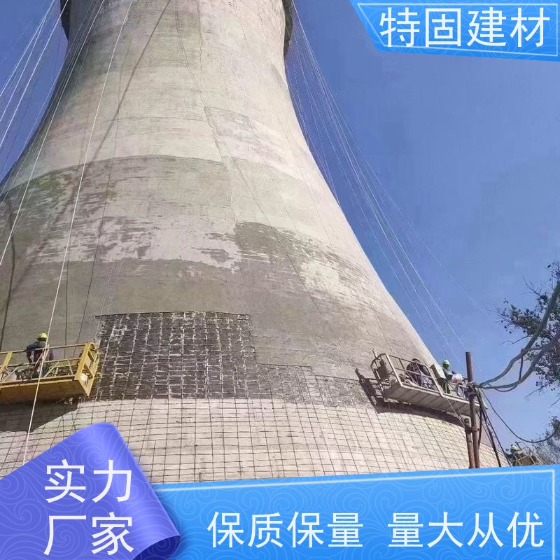 高强环氧树脂砂浆 墙面修补加固 厂家直供 特固新型建材