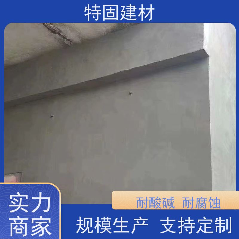 环氧树脂修补砂浆 高流态耐腐蚀 免费指导 源头工厂 特固新型建材