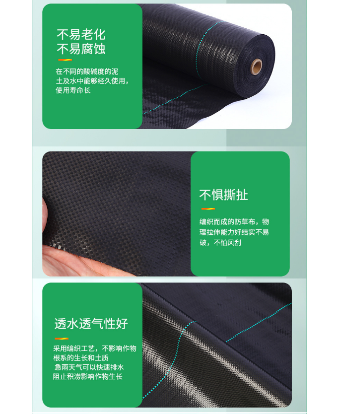 图6