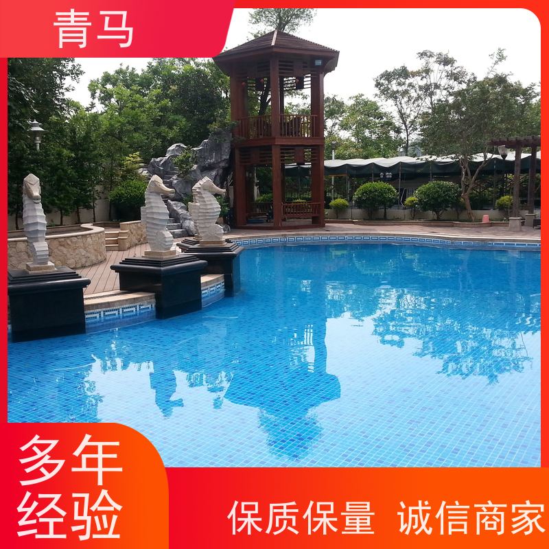 青马 家用泳池 适用于小区民宿 设计 施工 维护 一站式服务