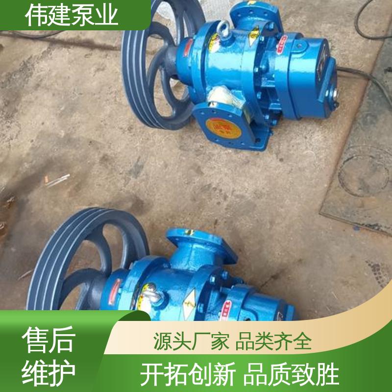 豆浆豆渣用 无泄漏效率高 耐磨性能好 不锈钢齿轮泵 伟建供应