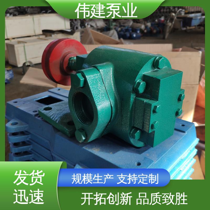 伟建生产 无泄漏效率高 硬度高耐磨损 硬齿面泵 机油柴油液运输用