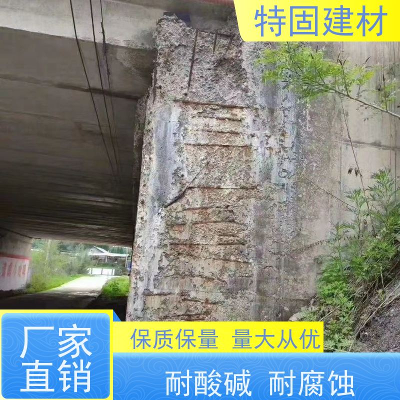 环氧树脂修补砂浆 高流态耐腐蚀 工厂供应 发货及时 特固建材
