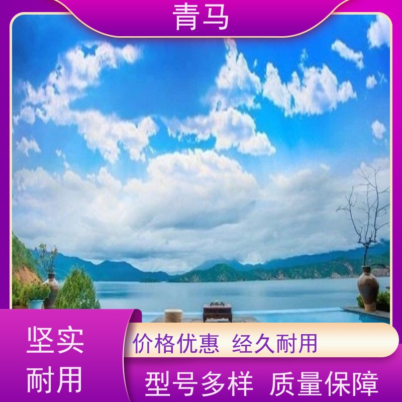 青马 户外泳池 适用于水上乐园 按需定制 免费测量