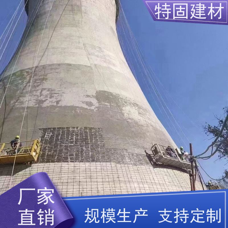 修补加固防水砂浆 抗压耐磨 厂家直供 特固建材