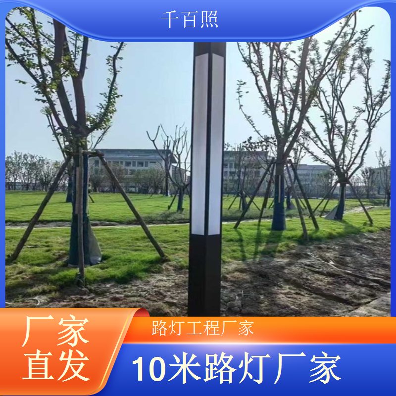 乡镇卫生院入口太阳能路灯 高亮照明保障应急出行 千百照
