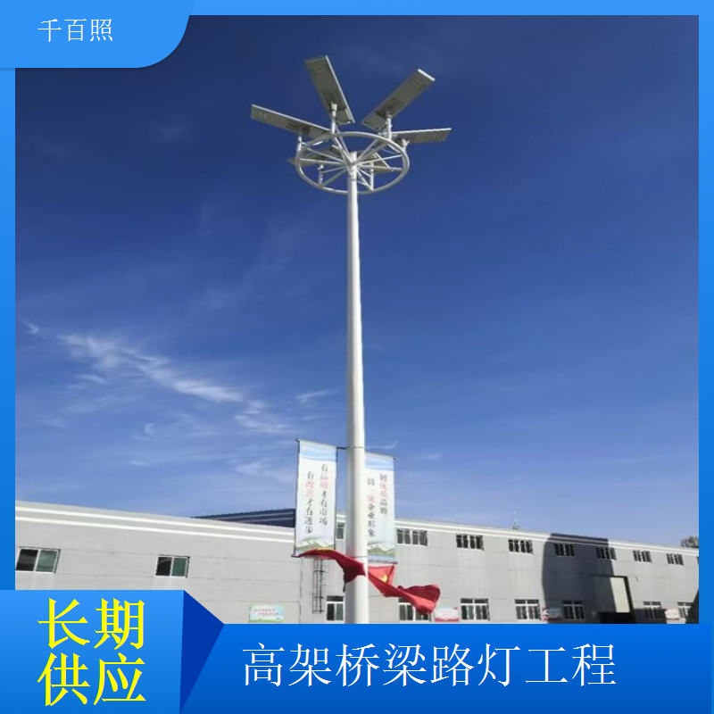 大跨度桥梁路灯工程分段照明无死角千百照