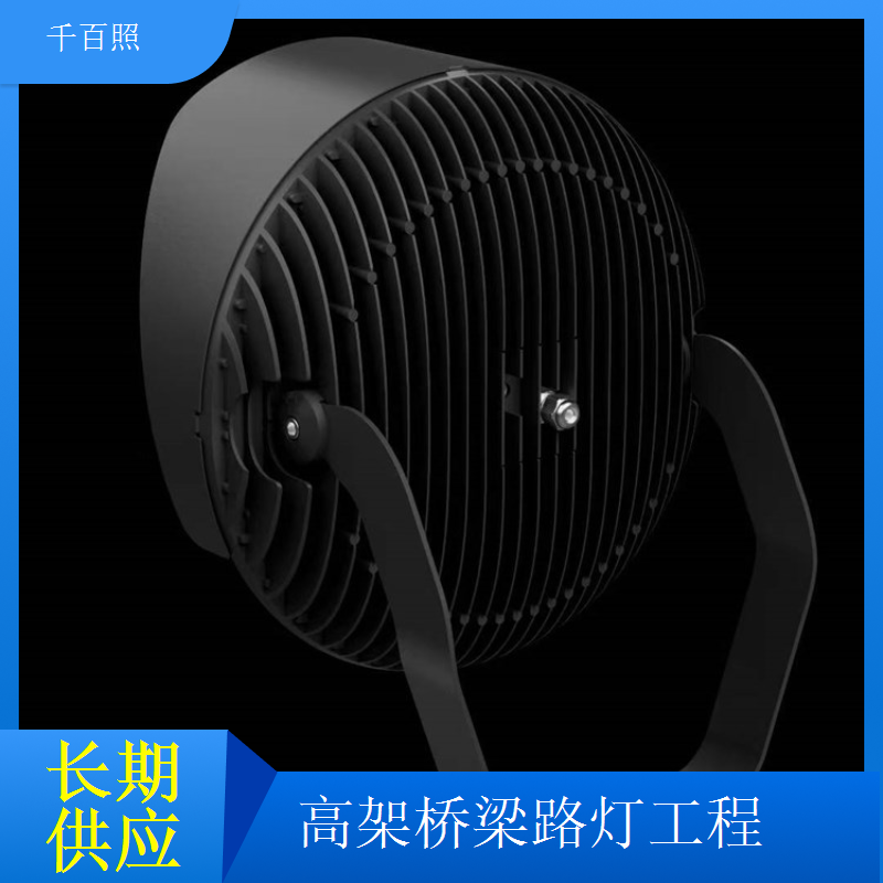 桥梁路灯安装工程服务专业施工团队千百照