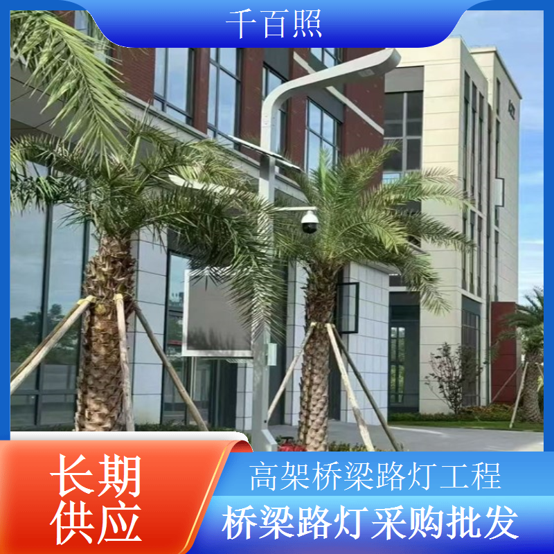 桥梁路灯维修改造采购升级配件提升稳定性千百照