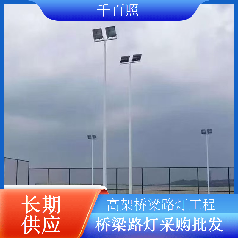 抗风防水桥梁路灯适配多恶劣环境长期使用千百照