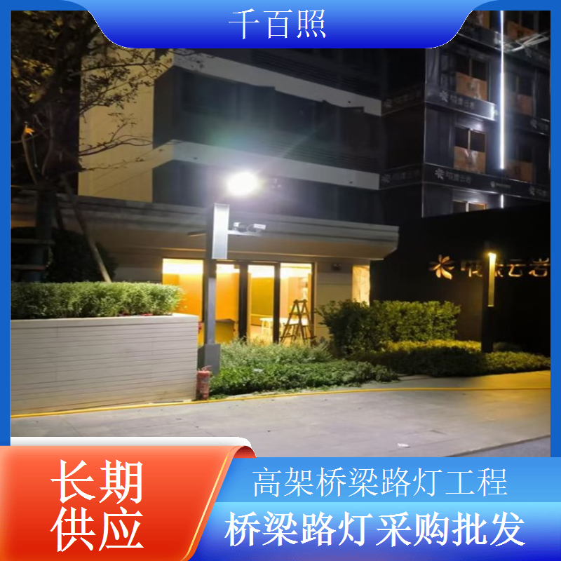 防水桥梁路灯工程高防水等级避免雨水侵蚀千百照