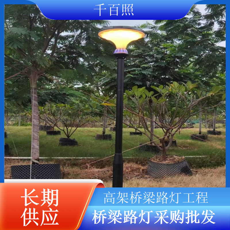 耐腐蚀桥梁路灯适配沿海桥梁抗盐雾抗氧化千百照