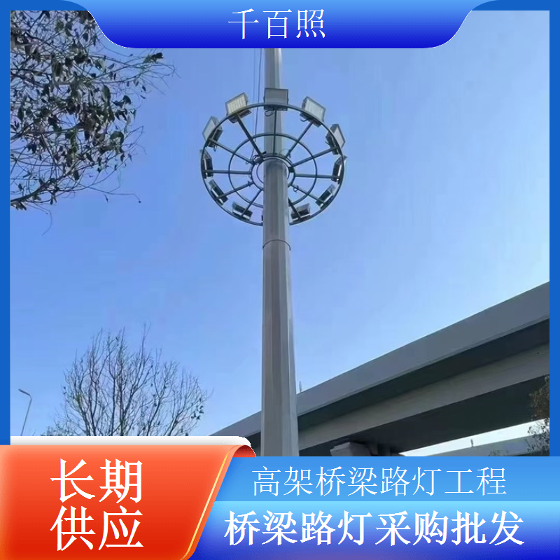 跨海桥梁长续航路灯大容量储能阴雨天持续亮灯千百照