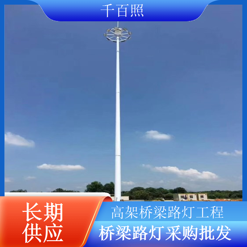 沿海桥梁防腐蚀路灯抗盐雾耐潮湿延长使用寿命千百照