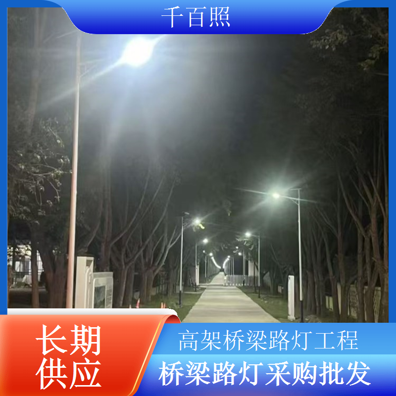 抗风桥梁路灯定制高杆牢固适配多风桥梁环境千百照