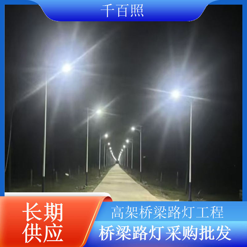 市政桥梁太阳能路灯工程适配桥面照明耐腐蚀抗风千百照