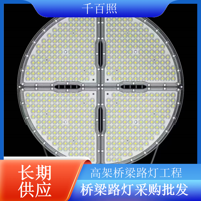 跨海大桥路灯定制抗台风抗腐蚀长期户外耐用千百照