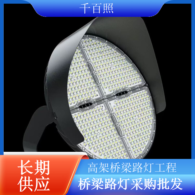 国道桥梁路灯工程高亮度长续航保障夜间通行千百照