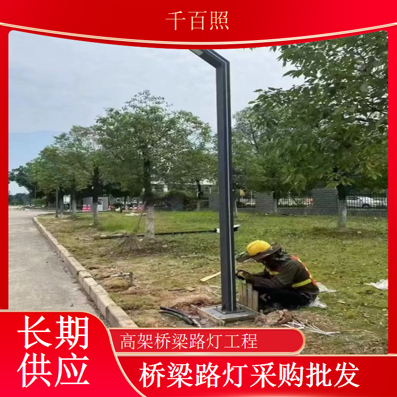 省道桥梁专用路灯抗冲击耐磨损适配公路场景千百照