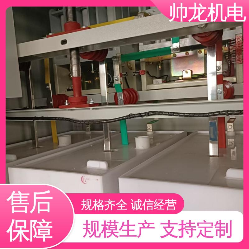 节能降耗 保护电机 水阻启动柜 化学厂/矿厂 厂家直供 可定制 湖 北帅龙