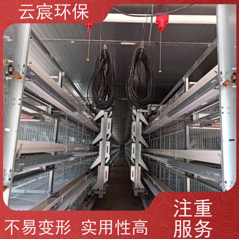 云宸环保 镀锌小层叠蛋鸡笼 自动化捡蛋机养殖设备 集中化管理