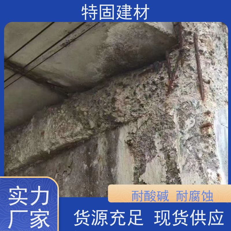 环氧树脂修补砂浆 适应性强 免费指导 源头工厂 特固新型建材
