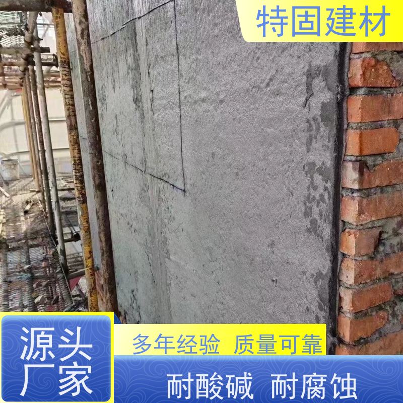 环氧树脂修补砂浆 高强度抗压 厂家直供 特固新型建材