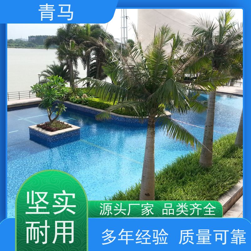 青马 自建房游泳池 适用于星级酒店 现代简约 多种颜色