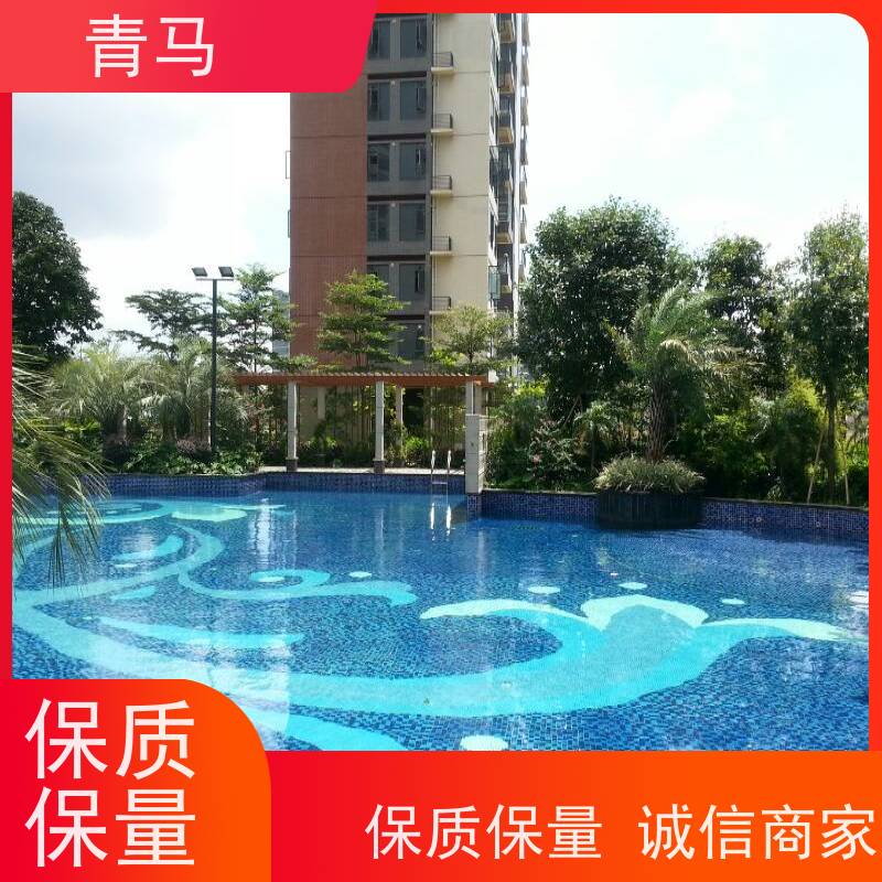 青马 海滩泳池 适用于健身俱乐部 现代简约 多种颜色