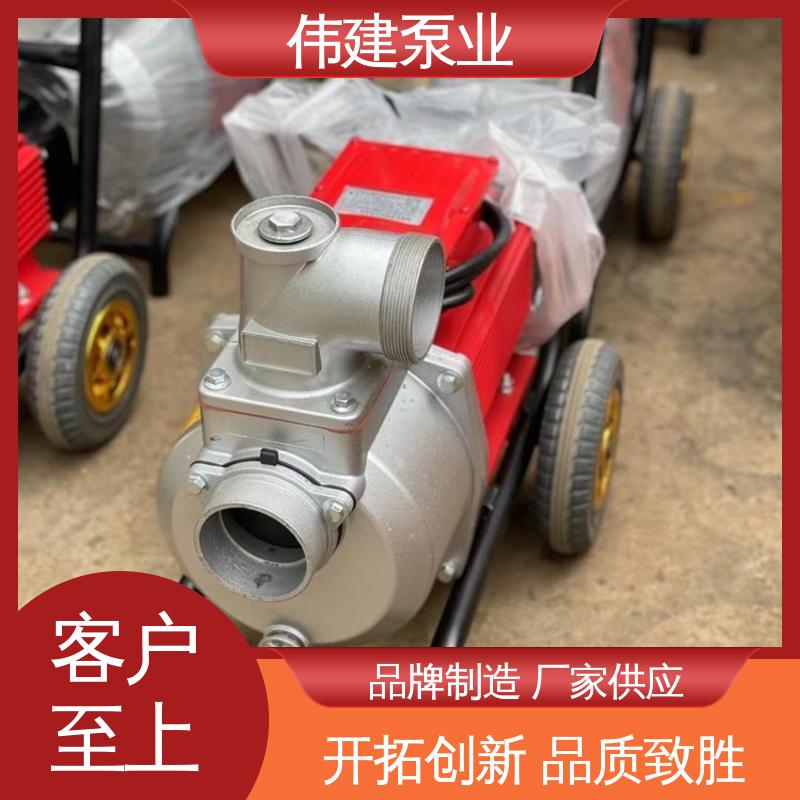 伟建生产 规格齐全 三叶转子泵 化工产品输送用 无泄漏效率高 