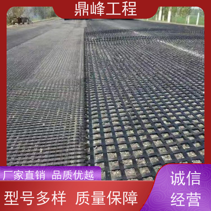 pet聚酯土工格栅 抗拉强度高 道路加筋用 支持定制