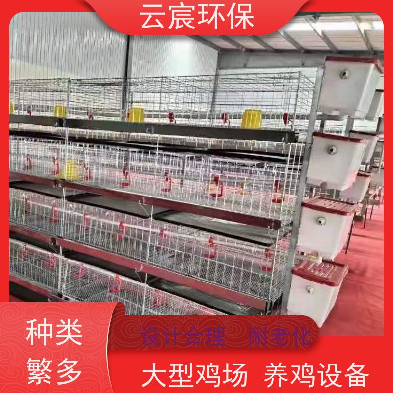 云宸环保 立式小鸡笼 自动鸡场养殖设备 合理利用空间