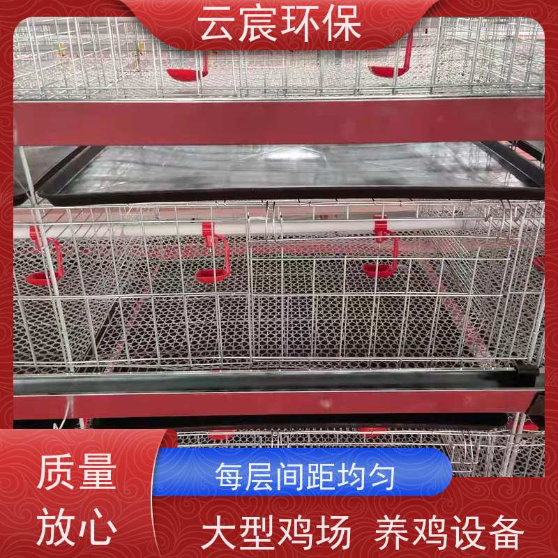 云宸环保 四层小鸡笼 加密鸡苗育雏笼 提高养殖数量
