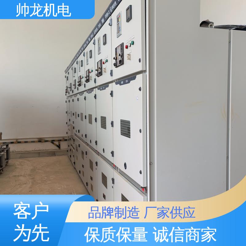反应迅速 高效稳定 支持定制 售后保证 环网柜 配电室专用 帅龙