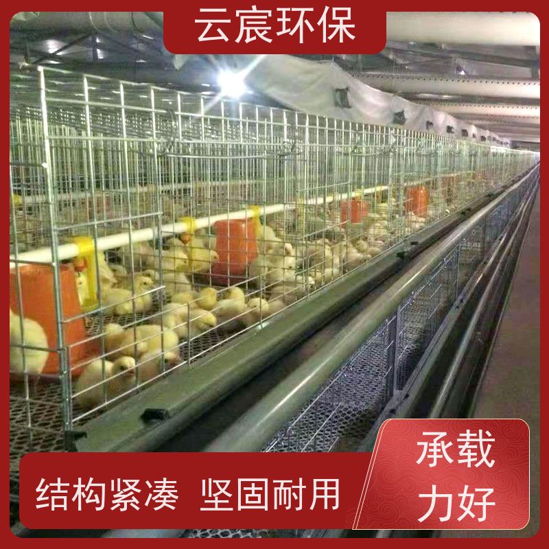 云宸环保 小型小鸡专用笼 加密鸡苗育雏笼 实用性高 不易生锈