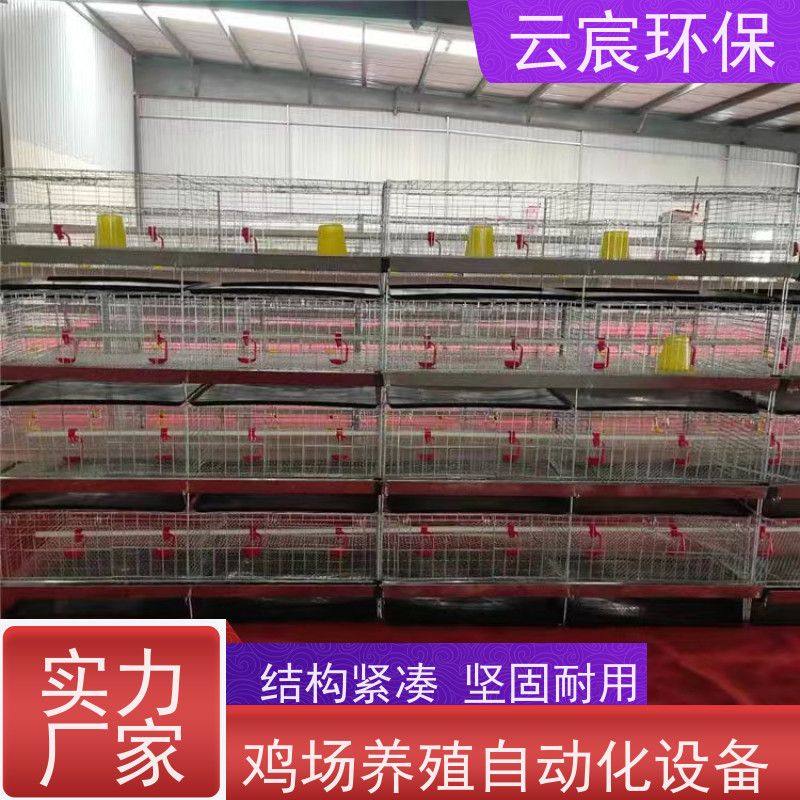 云宸环保 小鸡笼育雏笼 智能化养殖 耐腐蚀 不易变形 框架牢固
