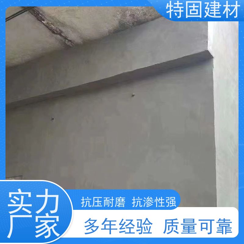 高强环氧树脂砂浆 防渗透耐酸碱 产地货源 常年供应 特固新型建材