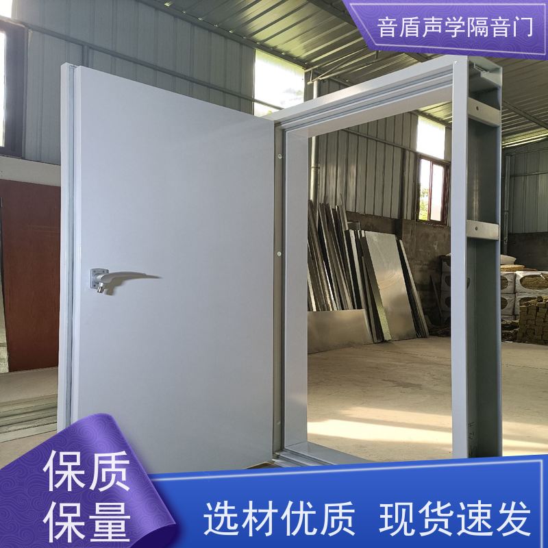 音盾 家庭影院 防火隔音门 品质保证 生产批发厂家