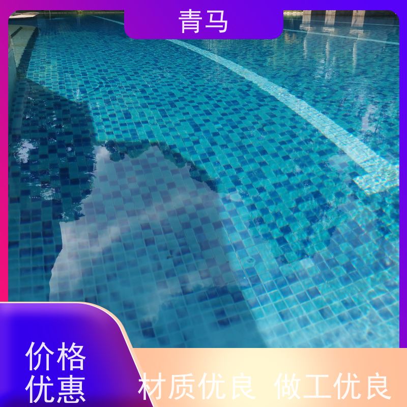 青马 学校游泳池 适用于星级酒店 现代简约 多种颜色
