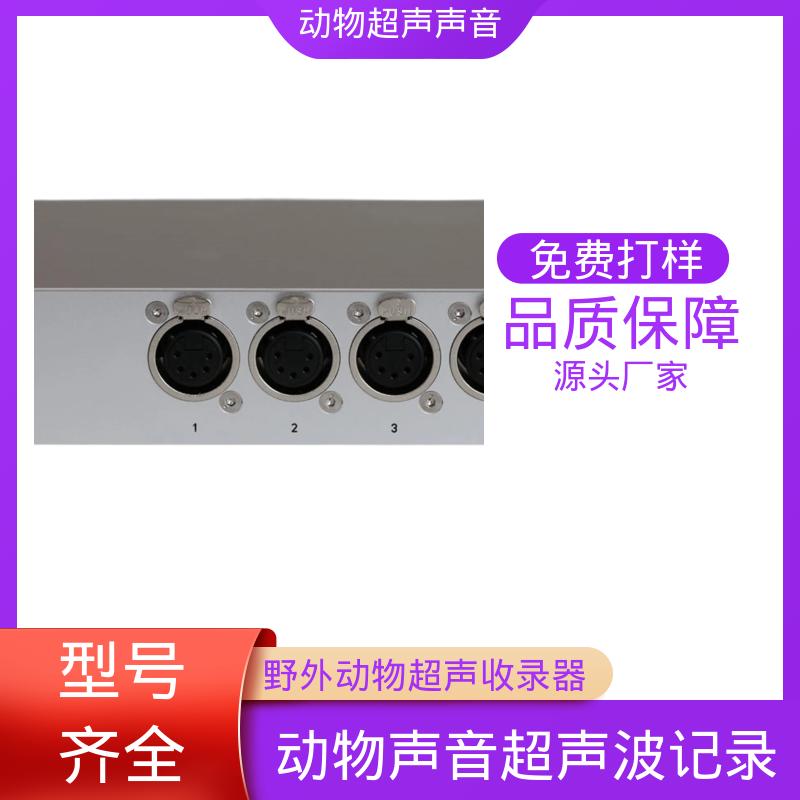 德国Avisoft 动物声音超声波记录仪 80 x 42 x 130 厂家供应 现货充足