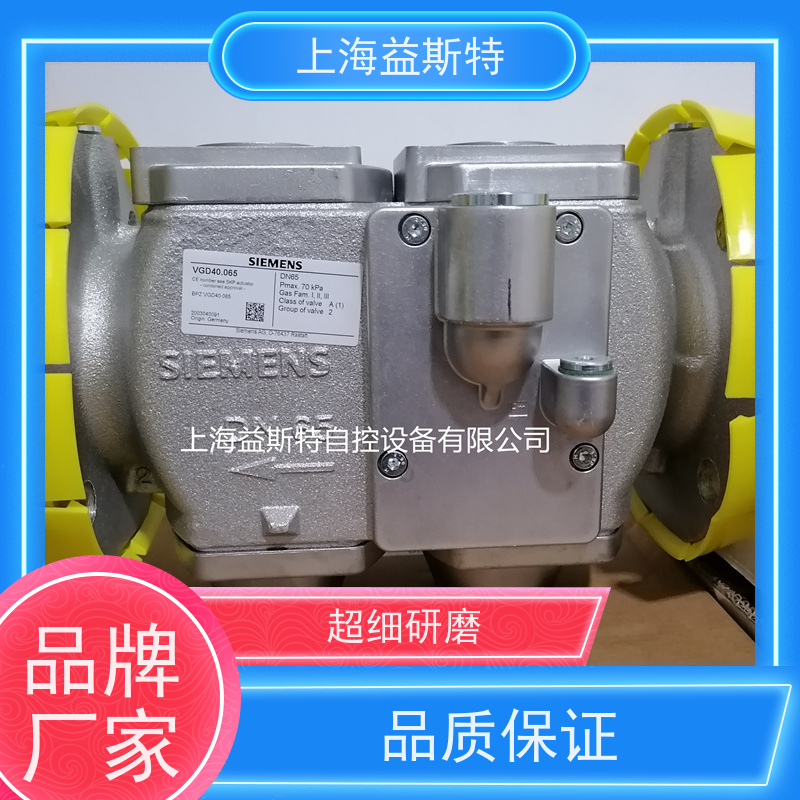 益斯特 VGD40.65 规格齐全适配多行业 法兰连接