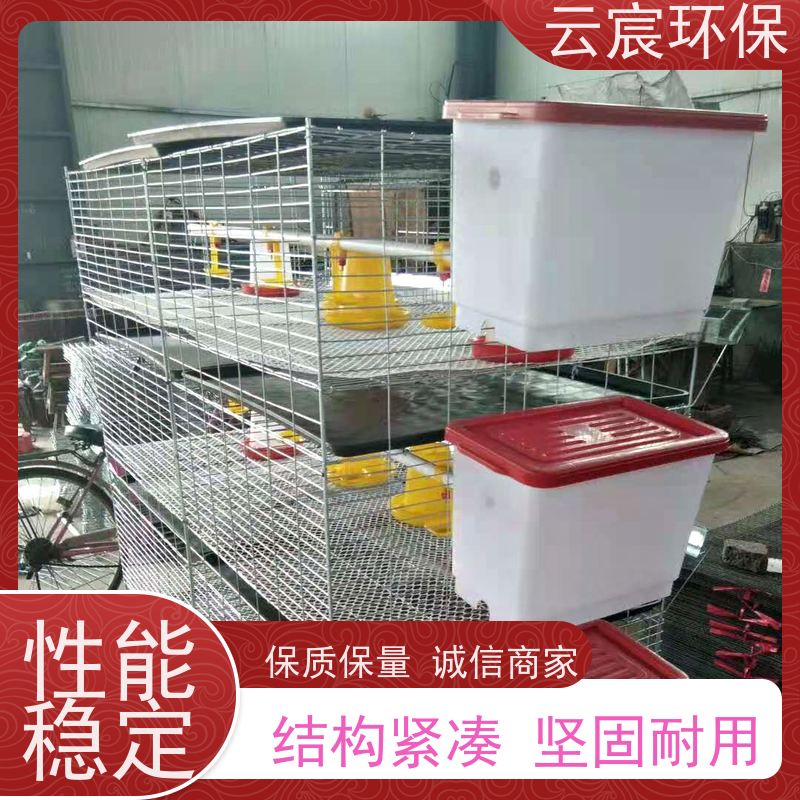 云宸环保 养殖雏鸡笼 大型鸡场养鸡设备 设计合理 承载力好