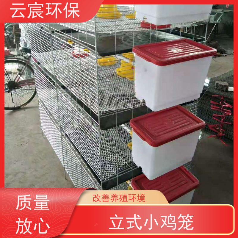 云宸环保 小鸡繁殖笼 鸡场养殖自动化设备 结构紧凑 层层加固