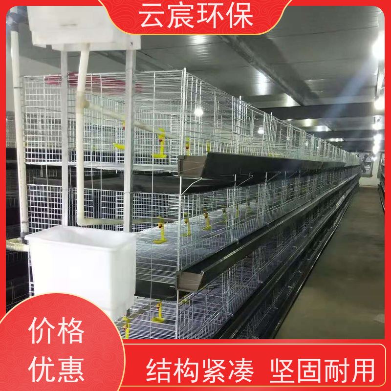 云宸环保 立式小鸡笼 大型鸡场养鸡设备 不易变形 框架牢固